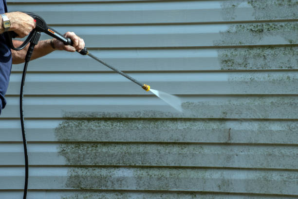 Best Roof Washing  in Dana Point, CA